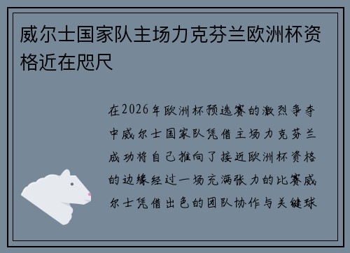 威尔士国家队主场力克芬兰欧洲杯资格近在咫尺