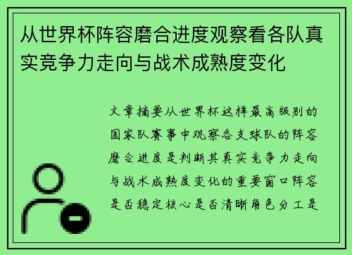从世界杯阵容磨合进度观察看各队真实竞争力走向与战术成熟度变化